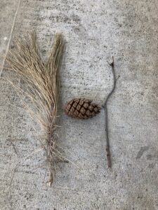 Build letters with items found in nature